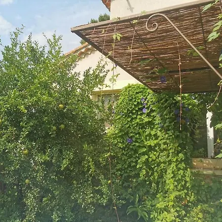 Maison Avec Piscine Dans Village Provencal. Courthézon Exterior photo