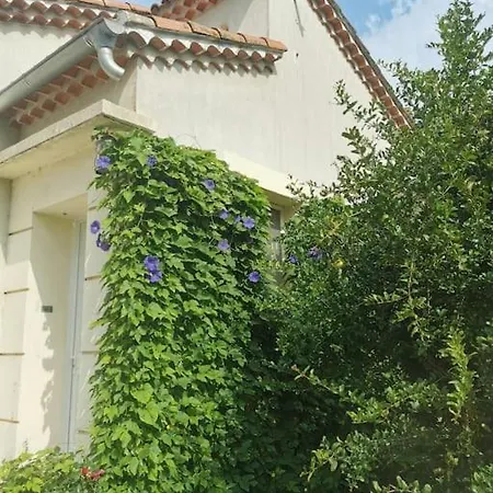 Maison Avec Piscine Dans Village Provencal. Courthézon Exterior photo