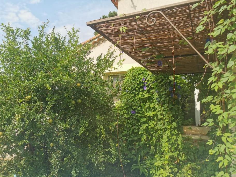 Maison Avec Piscine Dans Village Provencal. Holiday home Courthezon